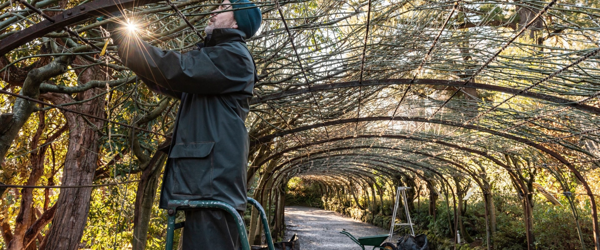 The Ultimate Guide to Winter Garden Mover Service