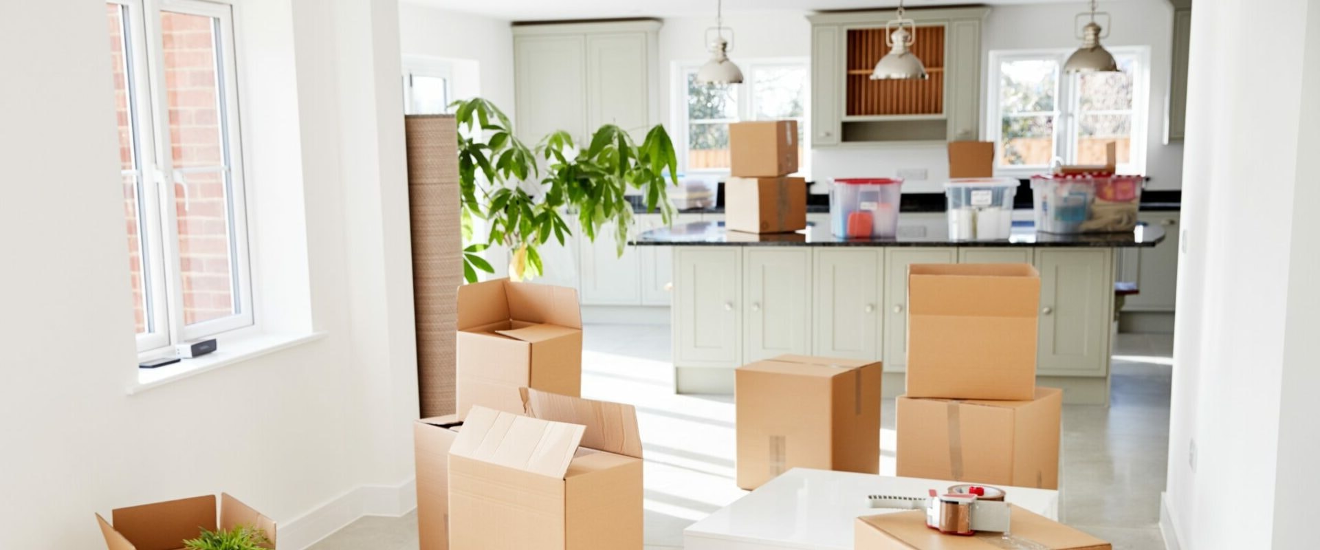 Expert Tips for Hiring the Best Thonotosassa Movers