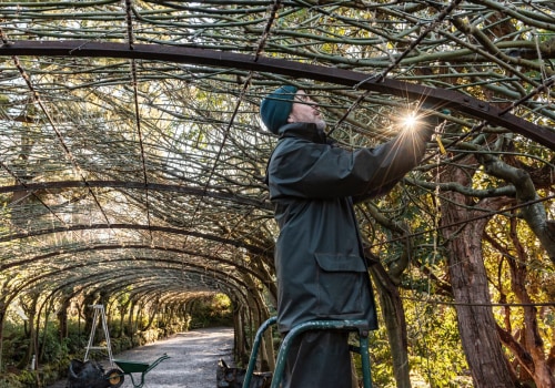 The Ultimate Guide to Winter Garden Movers Service